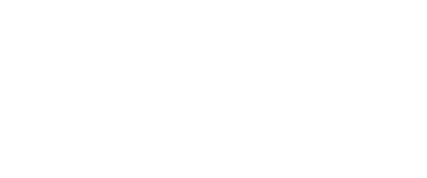 Digital Fast forward logo