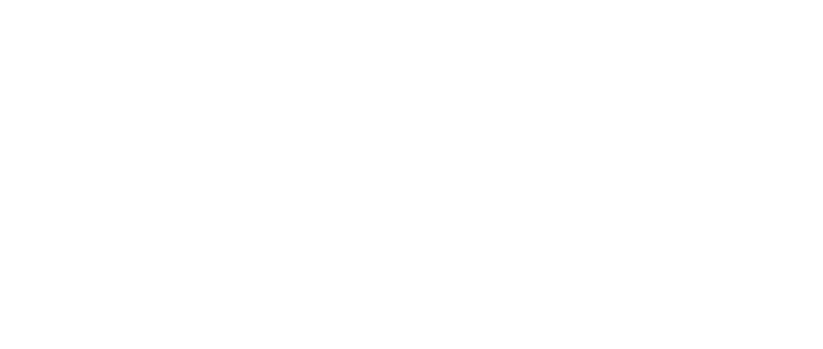 Fisent logo