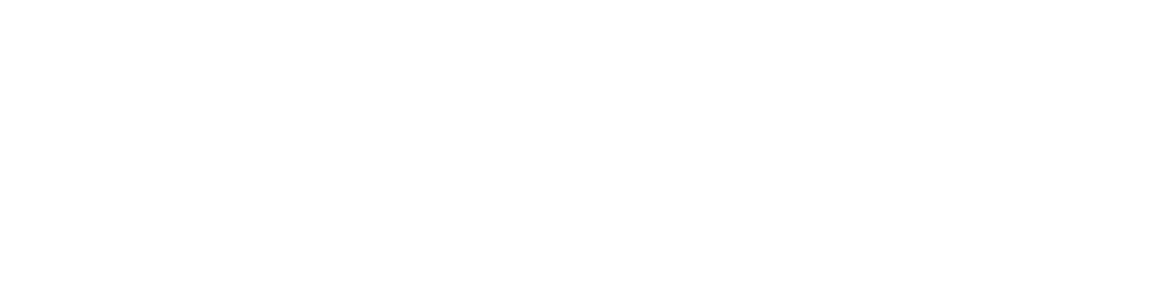 Fisent logo