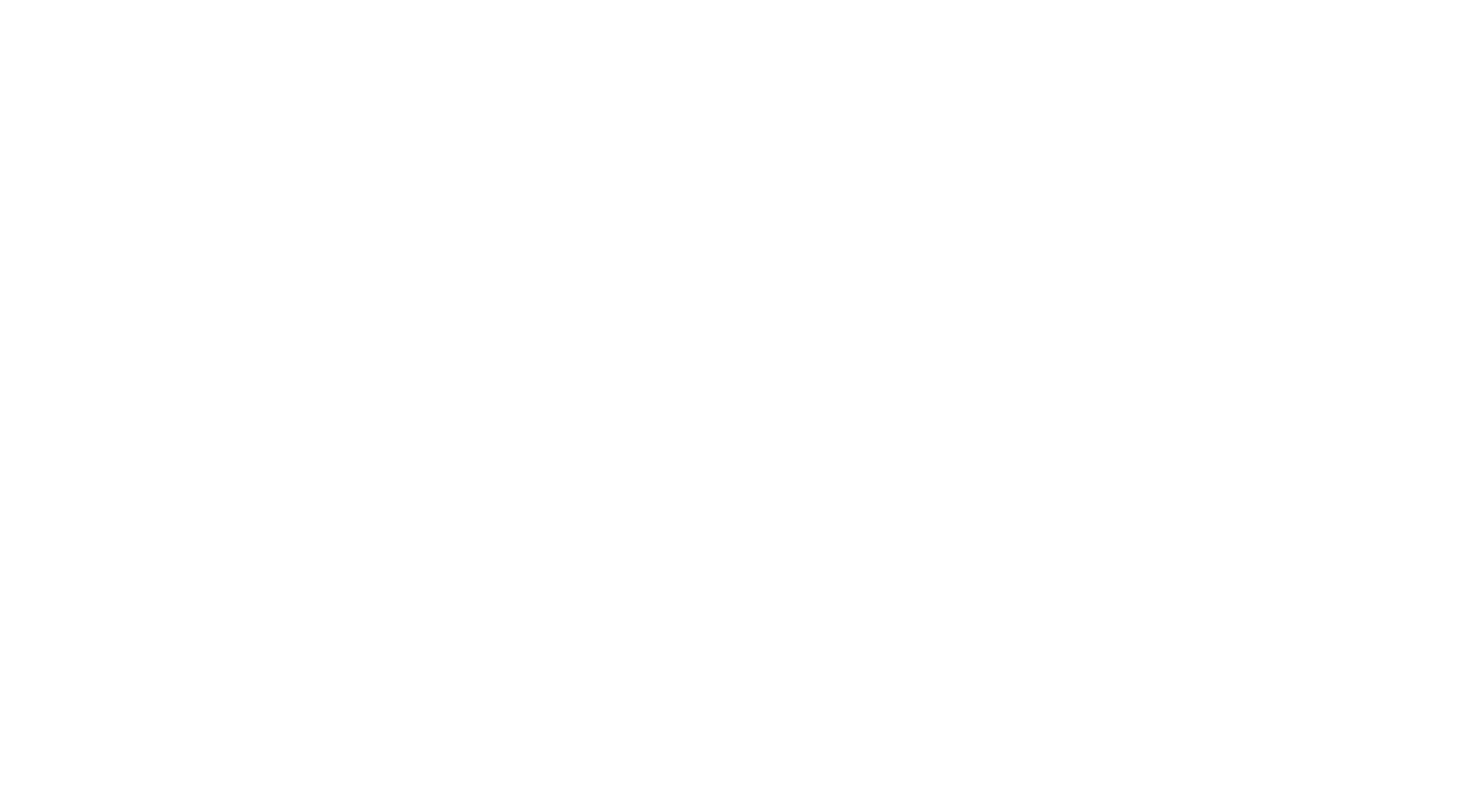 Fisent logo