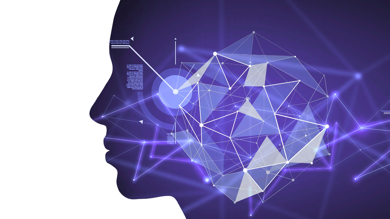 human head in profile with network image inside