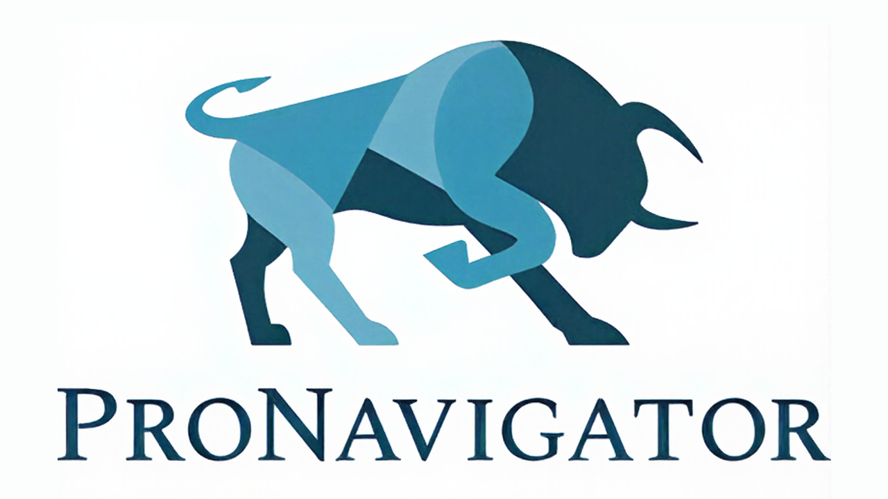 ProNavigator Logo
