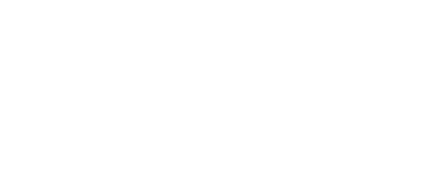 BPM Company