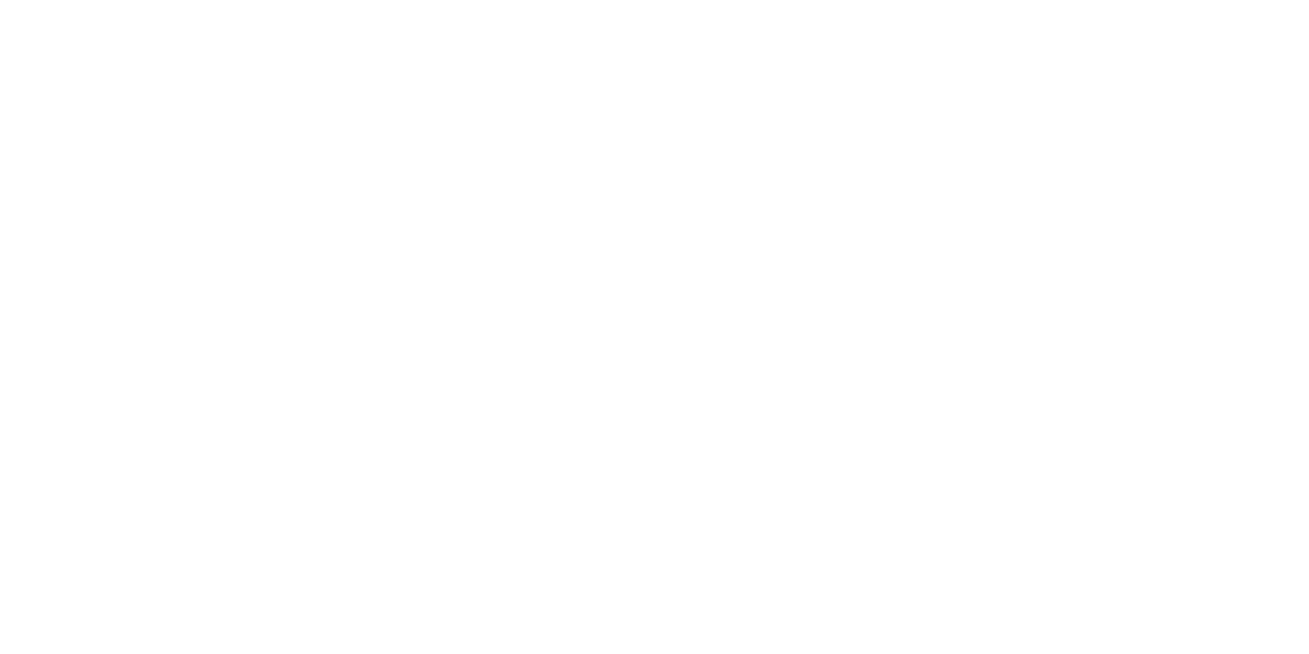 fielo logo