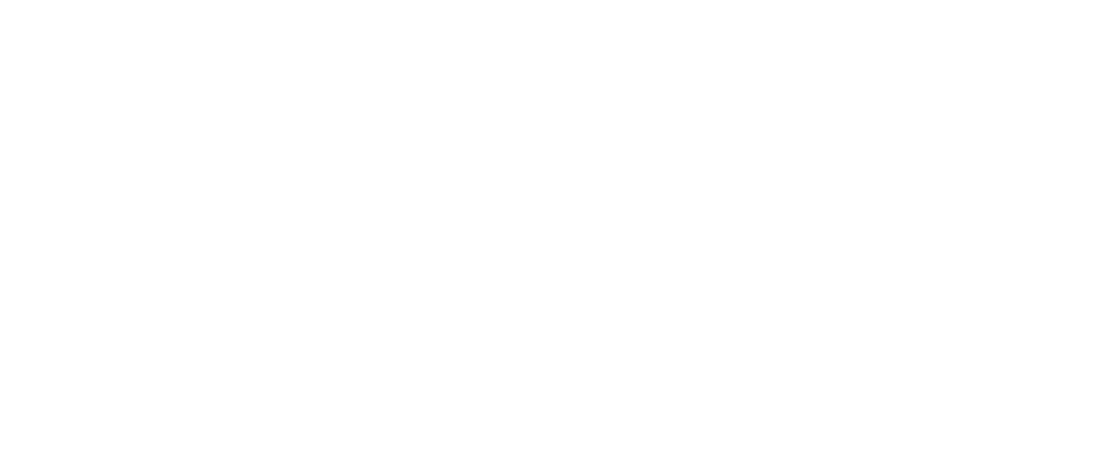 Digital Fast forward logo