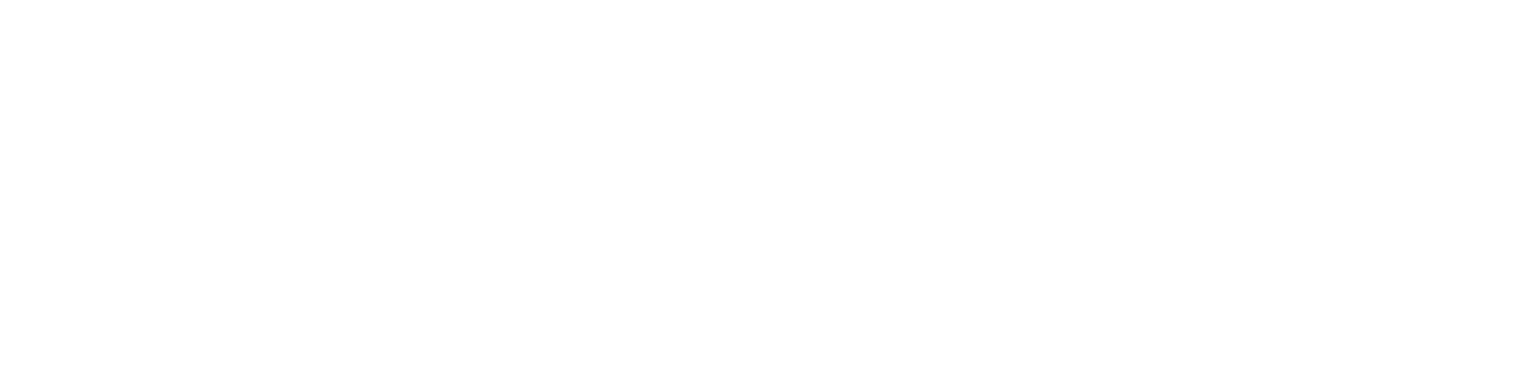 Fisent logo